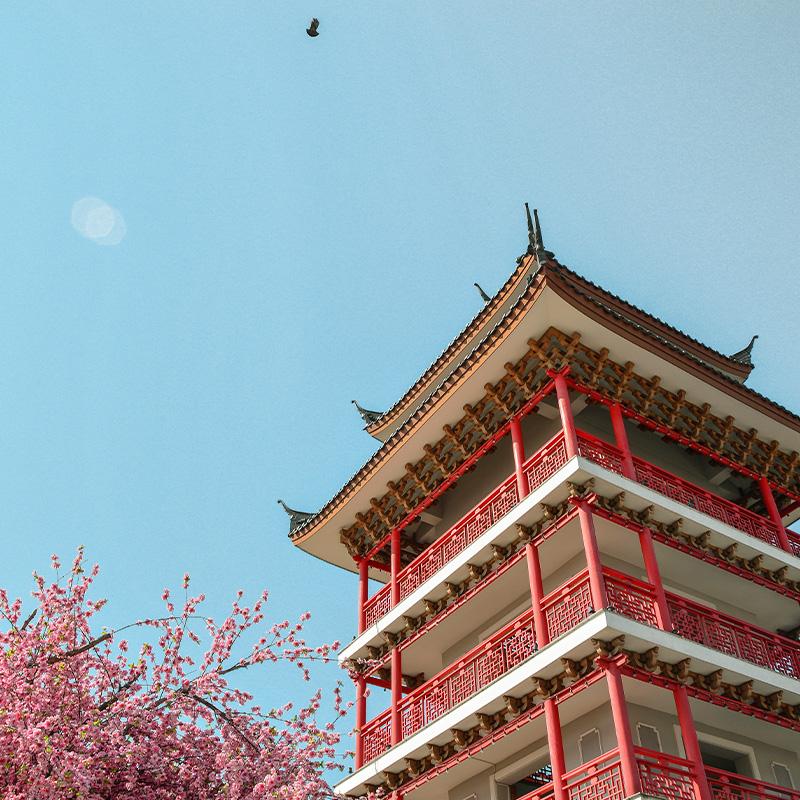 أنماط العمارة السكنية اليابانية والأسترالية