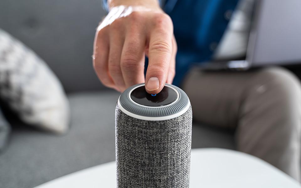 Smart Voice Assistant Device